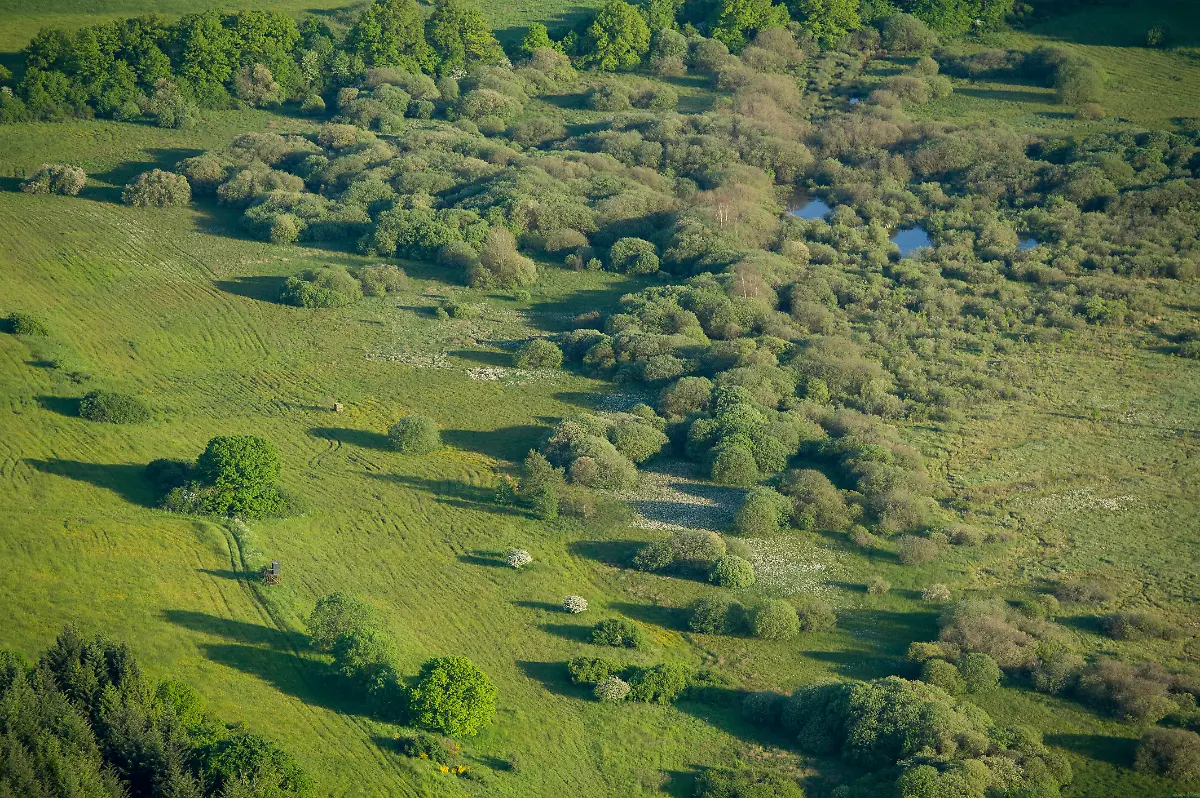 Mürmes_Maar_wetland_nature conservation area © Natur- und Geopark Vulkaneifel